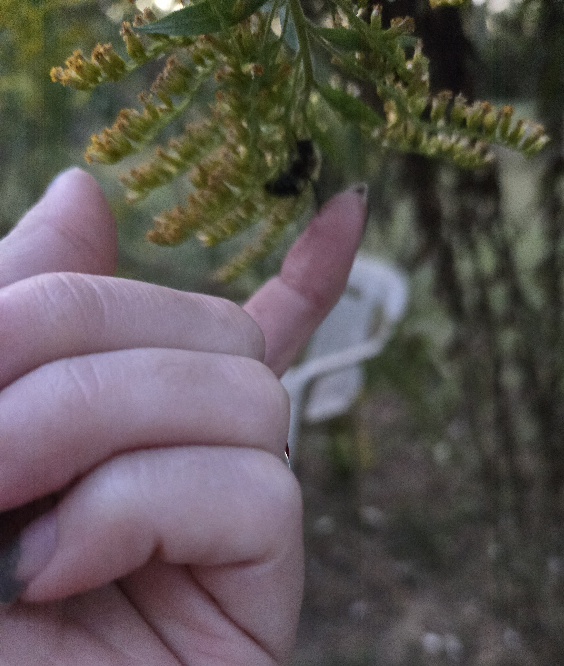 20251016_184718.jpg