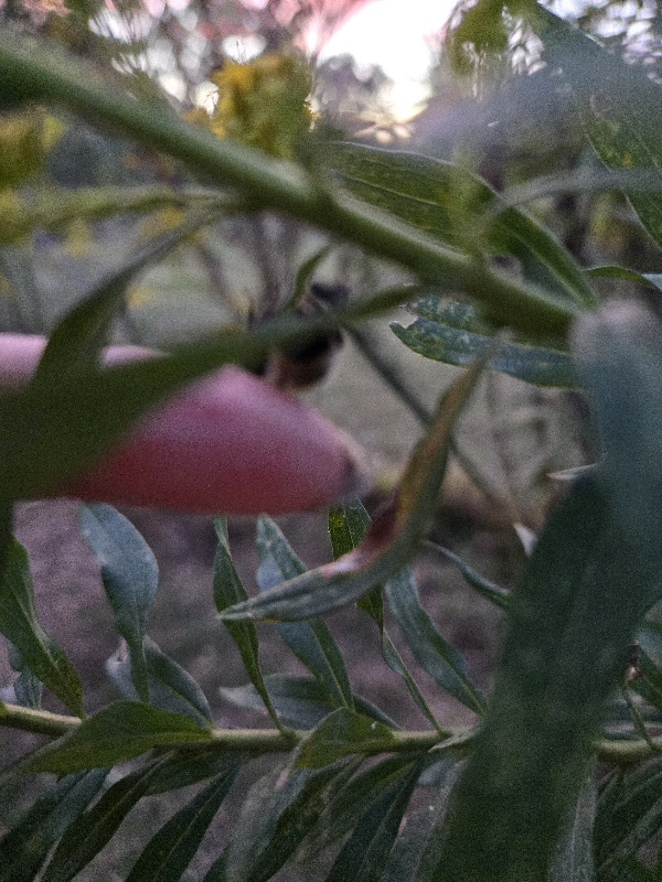 20251016_184831.jpg