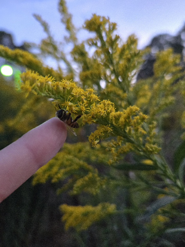 20251016_185225.jpg