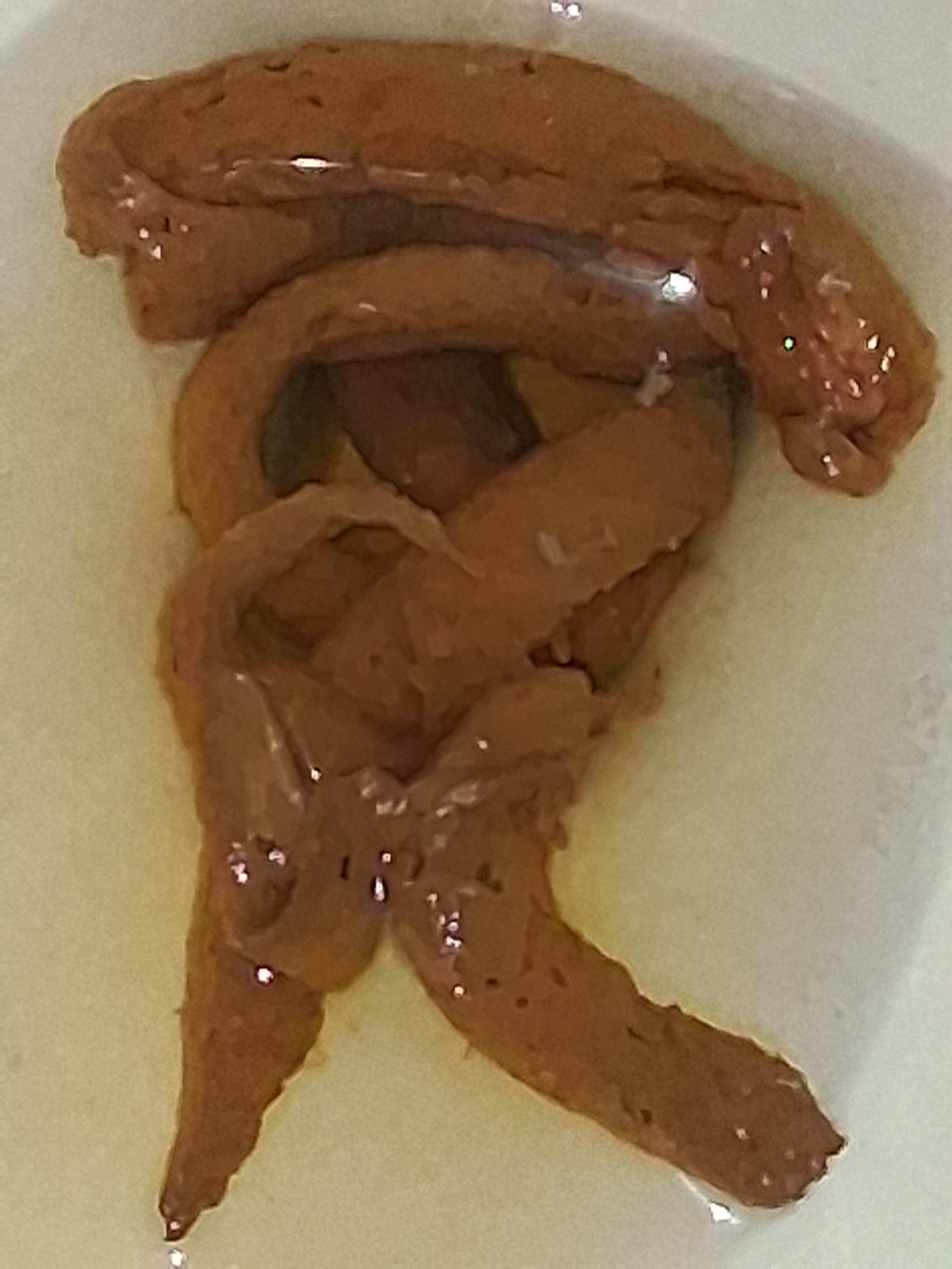 20260222_122319.jpg