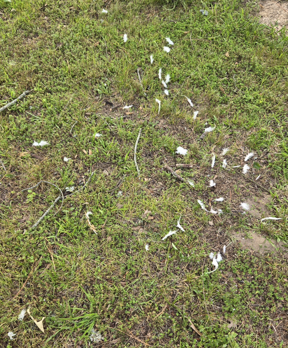 20260505_180313.jpg