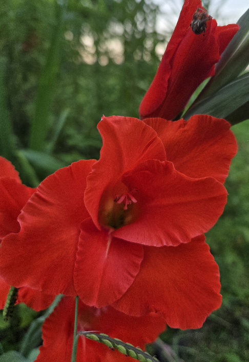 20260609_201839.jpg