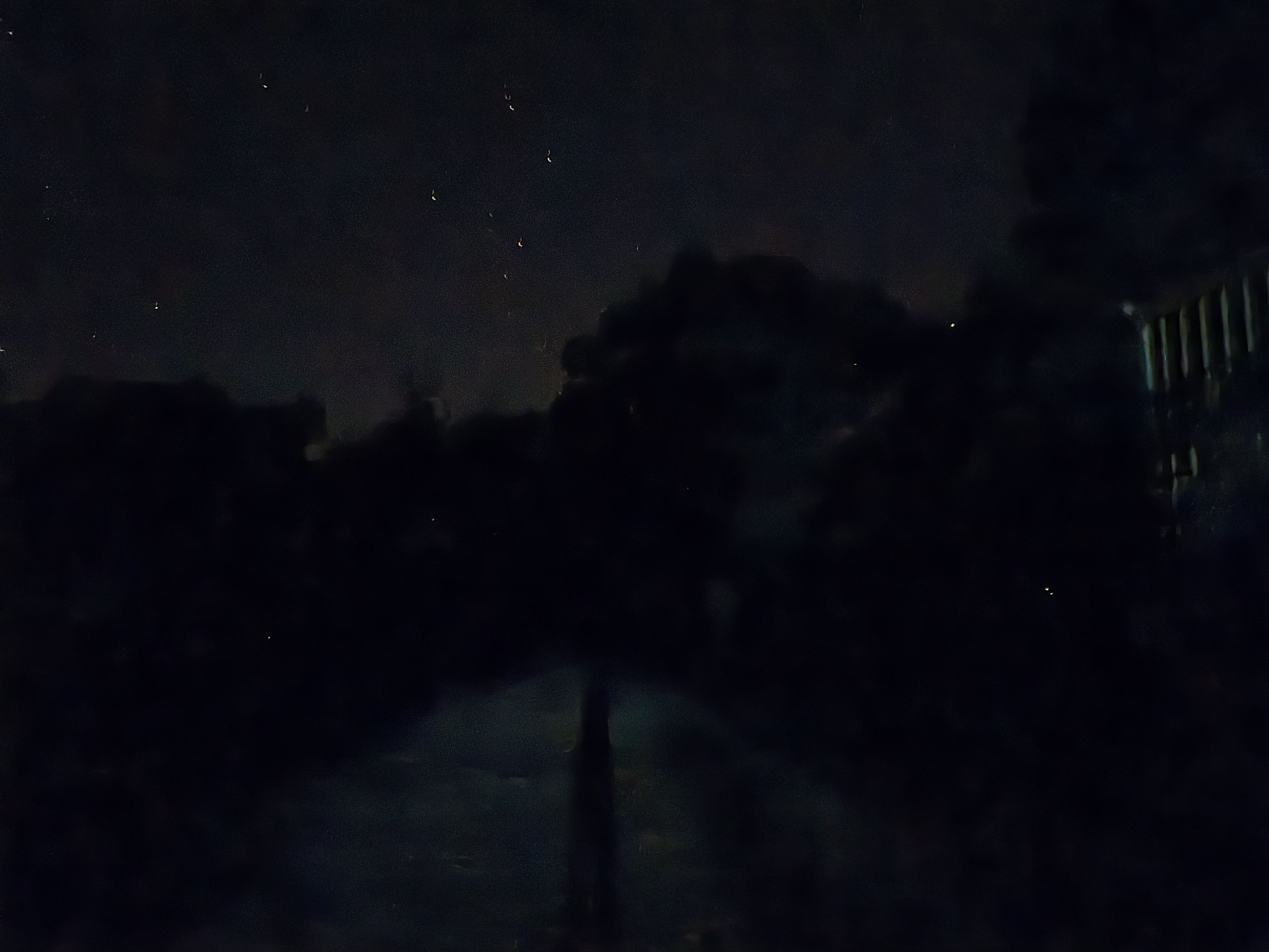 20260609_223712.jpg