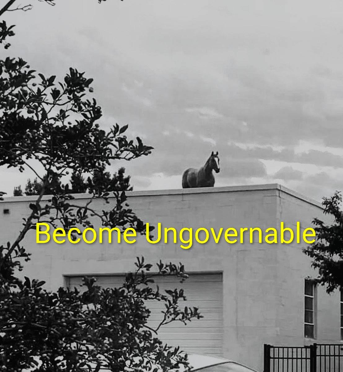 20260624_1456503.jpg