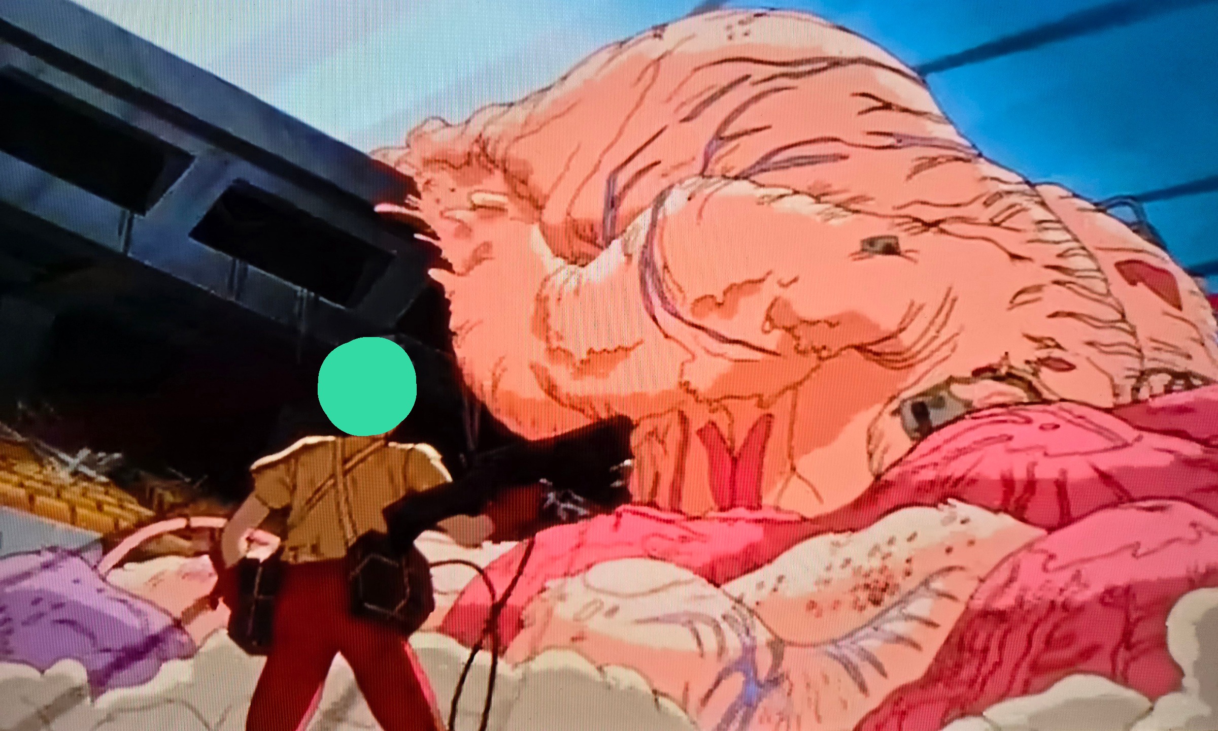 akira 20.jpeg