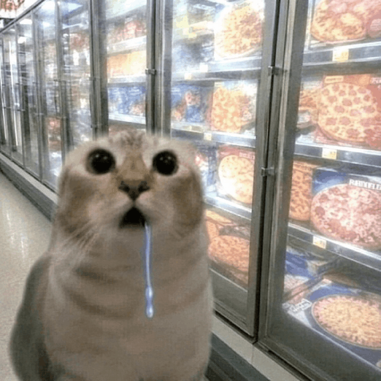 attachment-1.gif