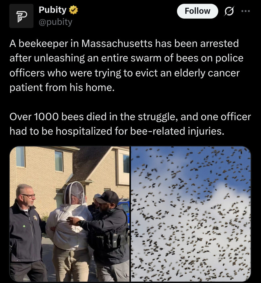 beekeper.jpg