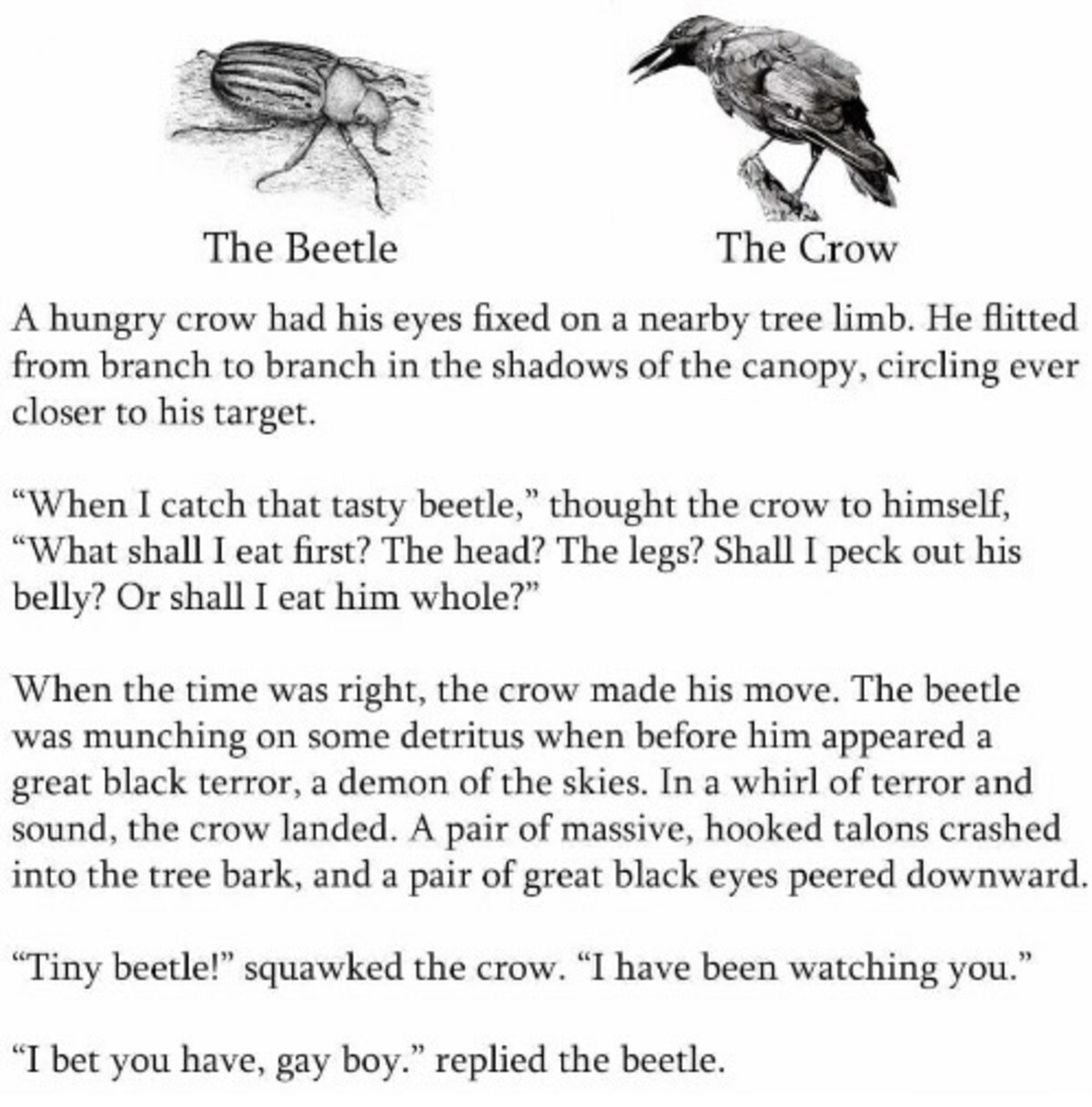beetle.jpg