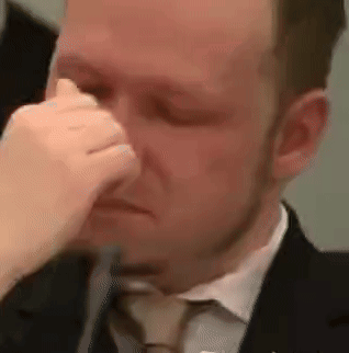 breivik-crying.gif