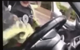 CainAnhero.gif