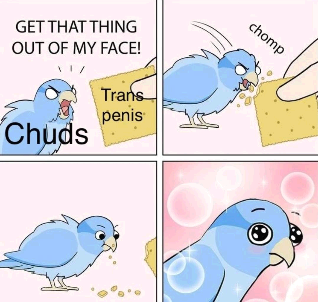 chudbird.png