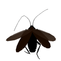 cockroach.gif