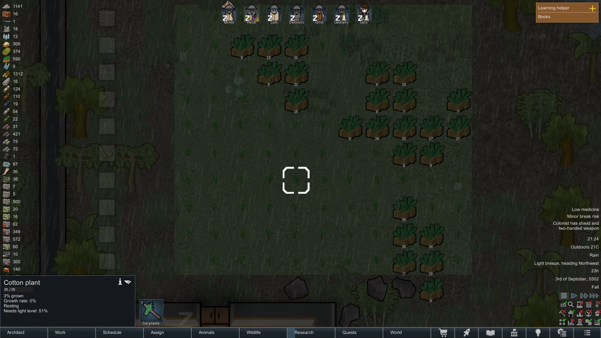 cottonplanted.jpg