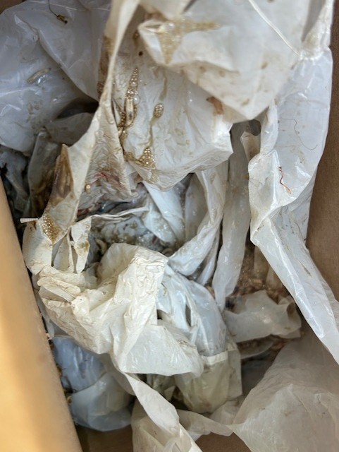 decomposition Project 5-27-2025.jpg