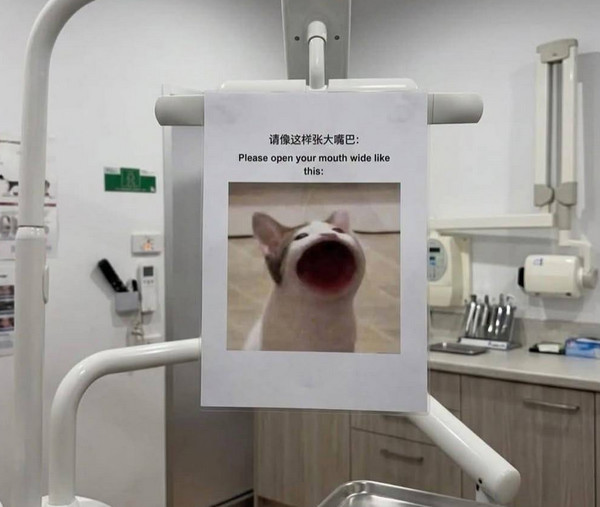 dental-time.jpg