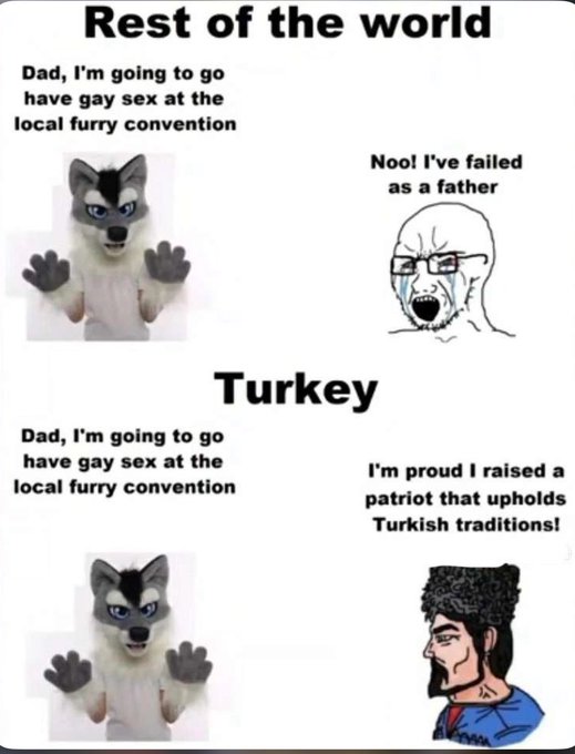 dorkey.jpg
