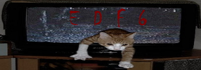 EDFbanner47.jpg