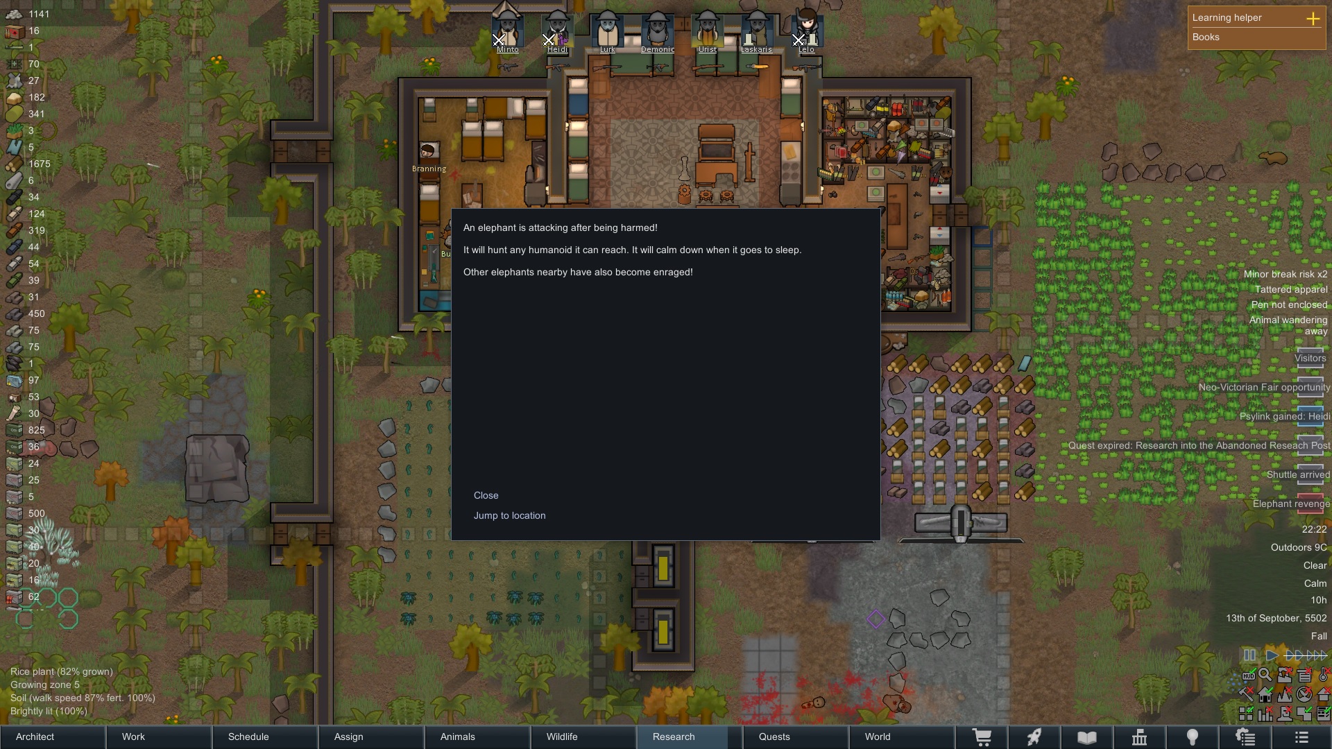elephant.jpg