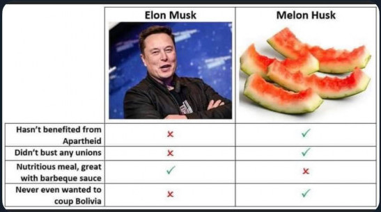 elon-musk-melon-husk.jpg