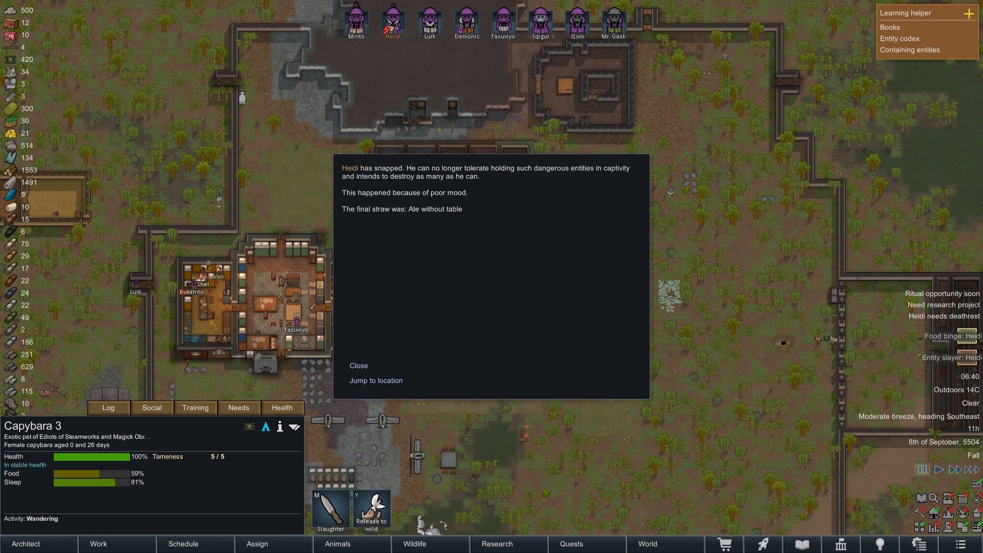 entdest.jpg