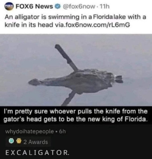 excaligator.jpg