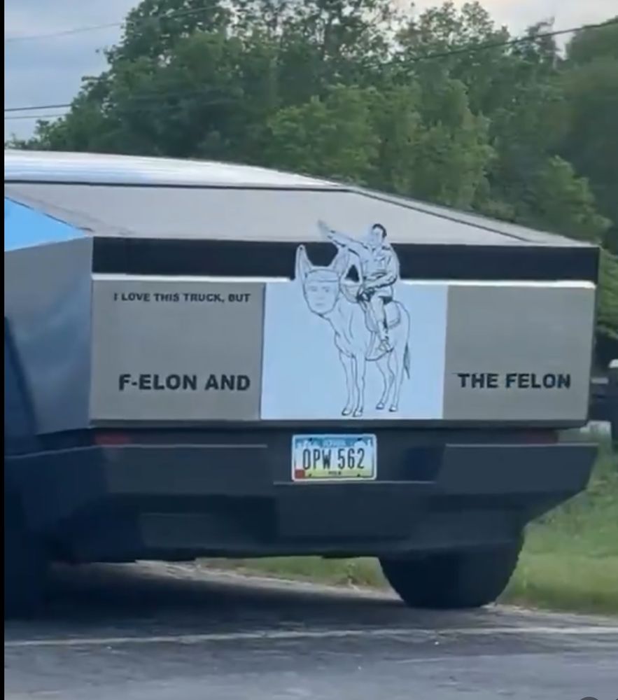 f-elon4.jpg