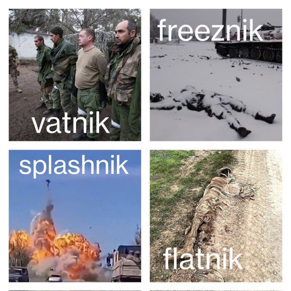 FLATNIK.jpg