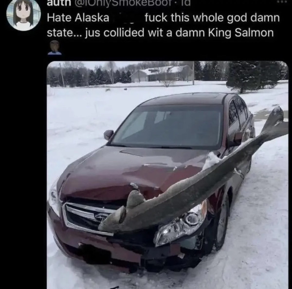 fuckalaska.jpg