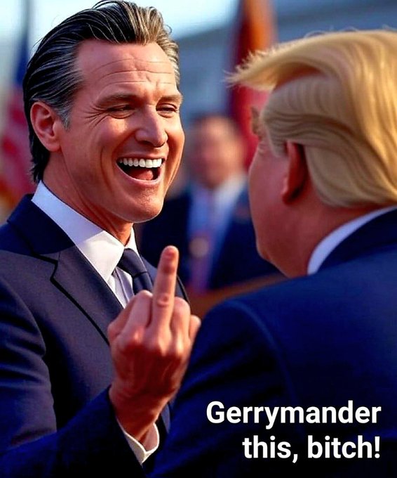 Gerrymander_Bitch.jpg