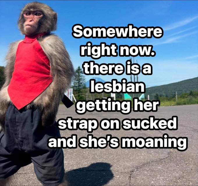 HJ4K7z6XYAA7ePx.jpg