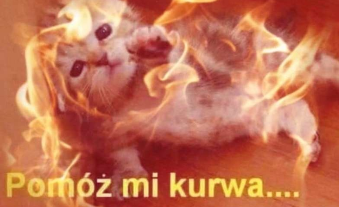 image-49.png
