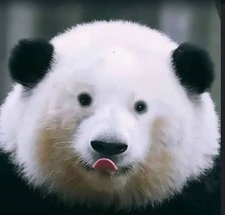 images (30).jpeg