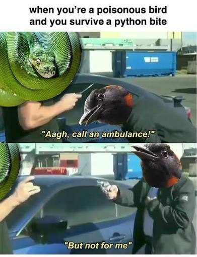 images (39).jpeg