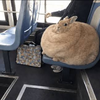 images (40).jpeg