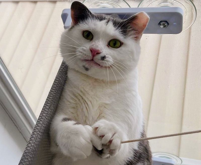 img.jpg