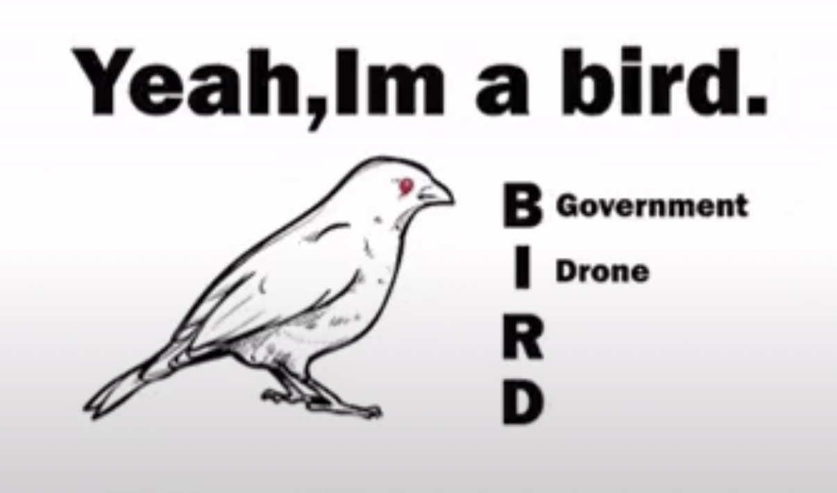IMG_2372.png