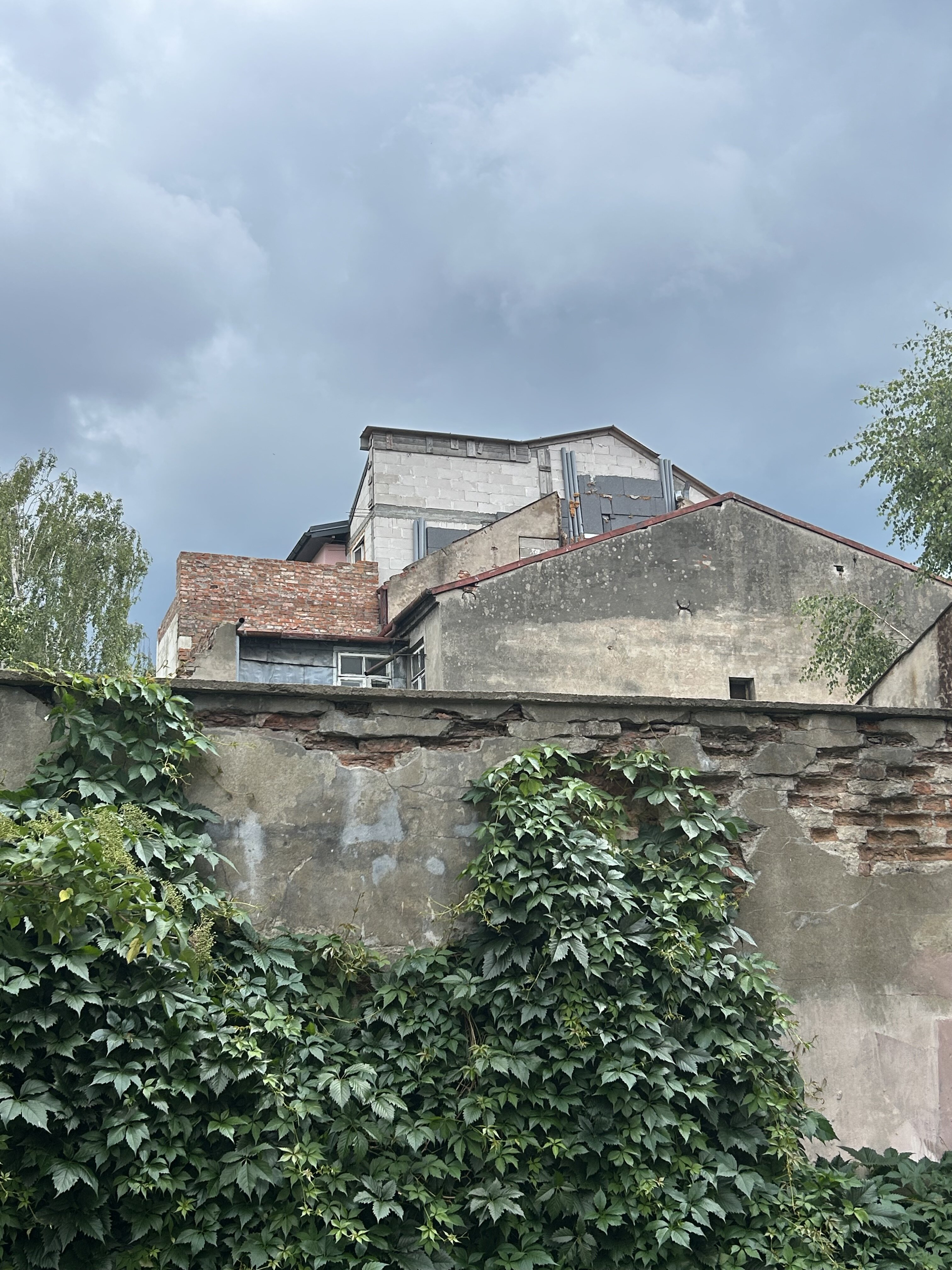 IMG_3303.jpeg