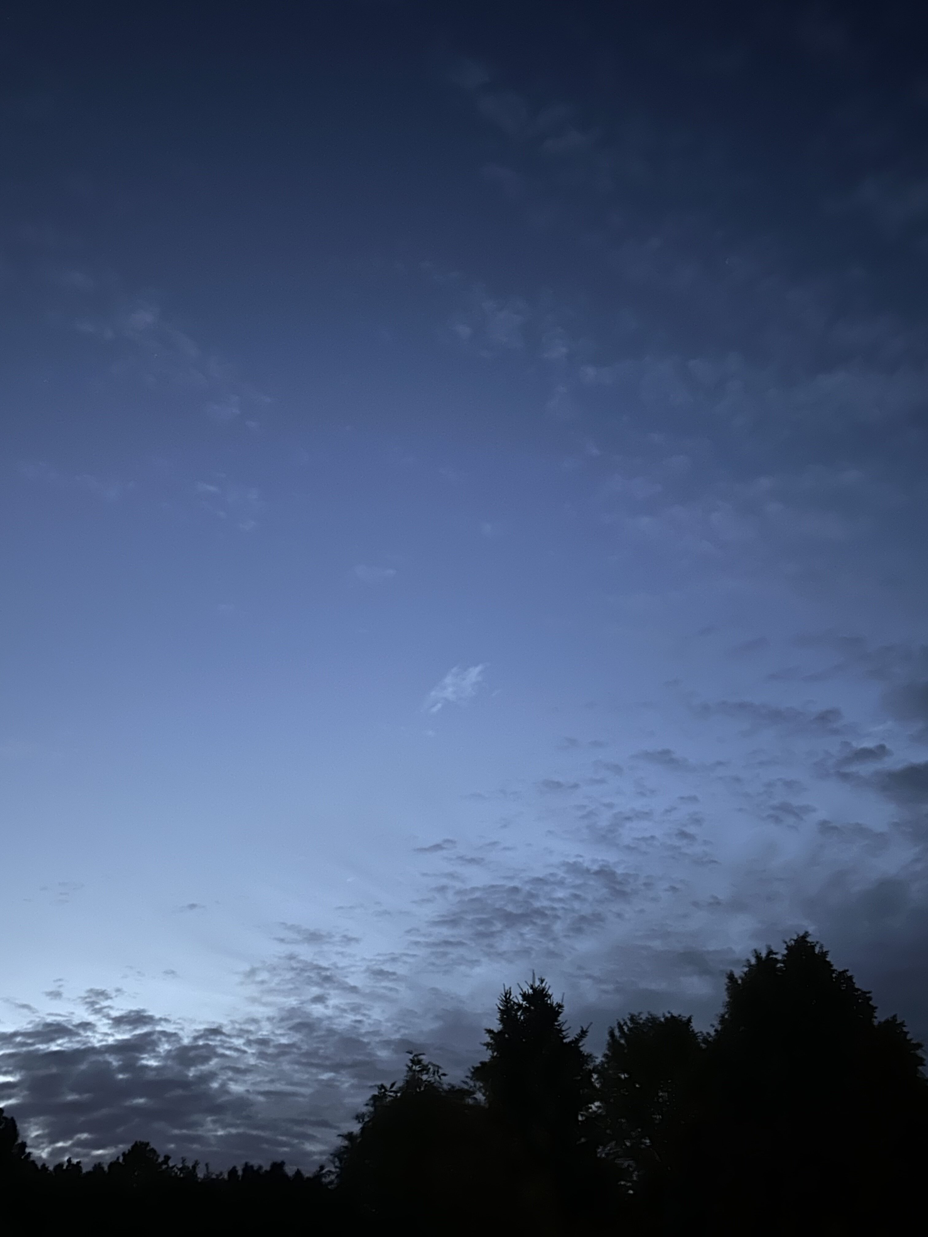 IMG_3773.jpeg