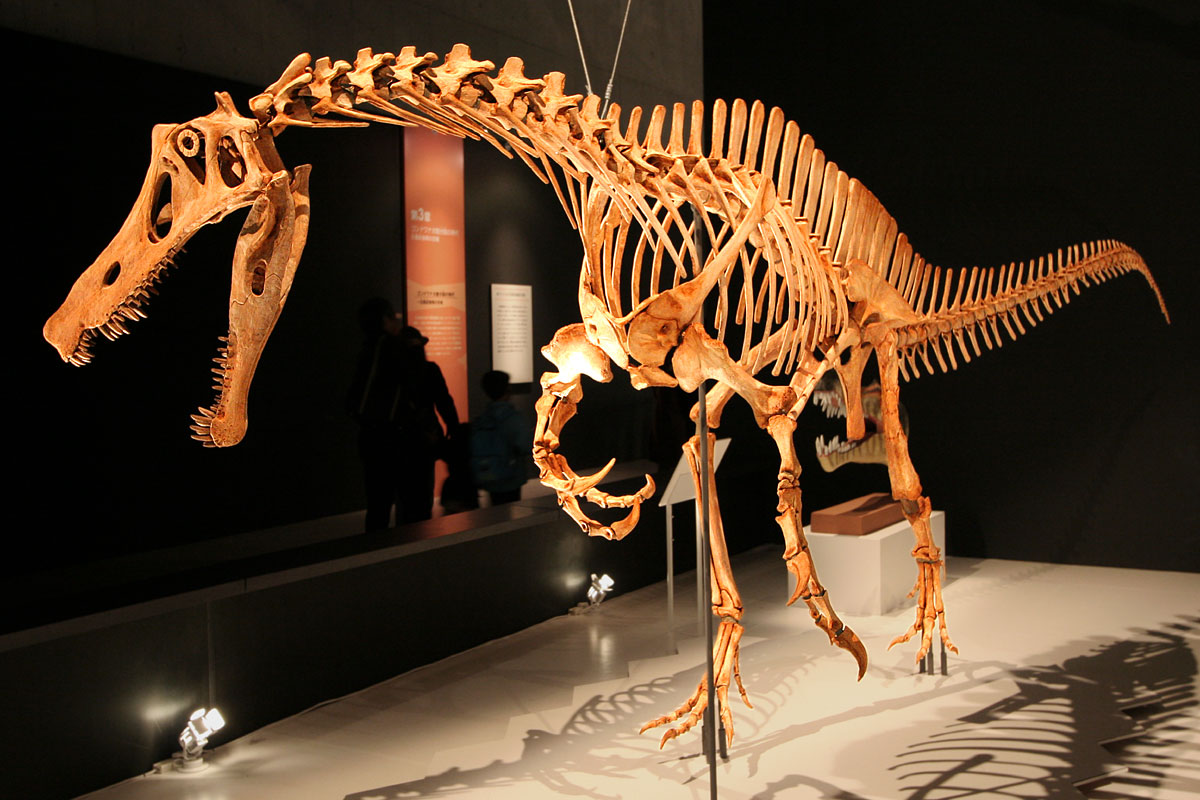 Irritator_challengeri_mount_01.jpg