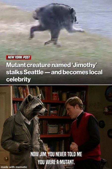jimothy.jpeg