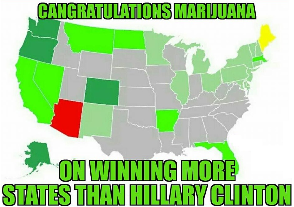 Marijuana_Wins_More_States_Than_Hillary.jpg