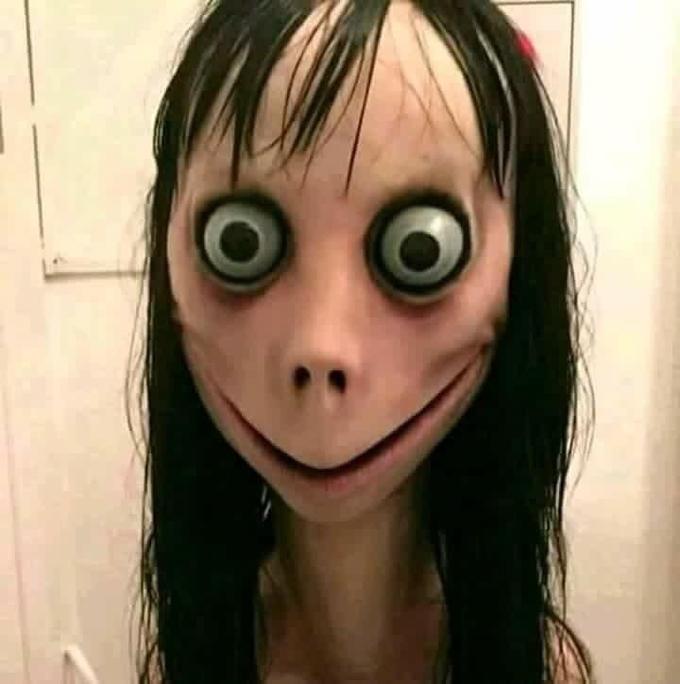 momo.jpg