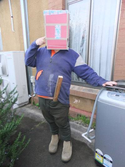 mornin-wood.JPG