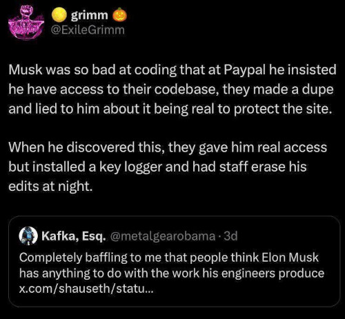 musk-the-coder.jpg