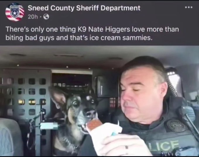 natehiggers.jpg