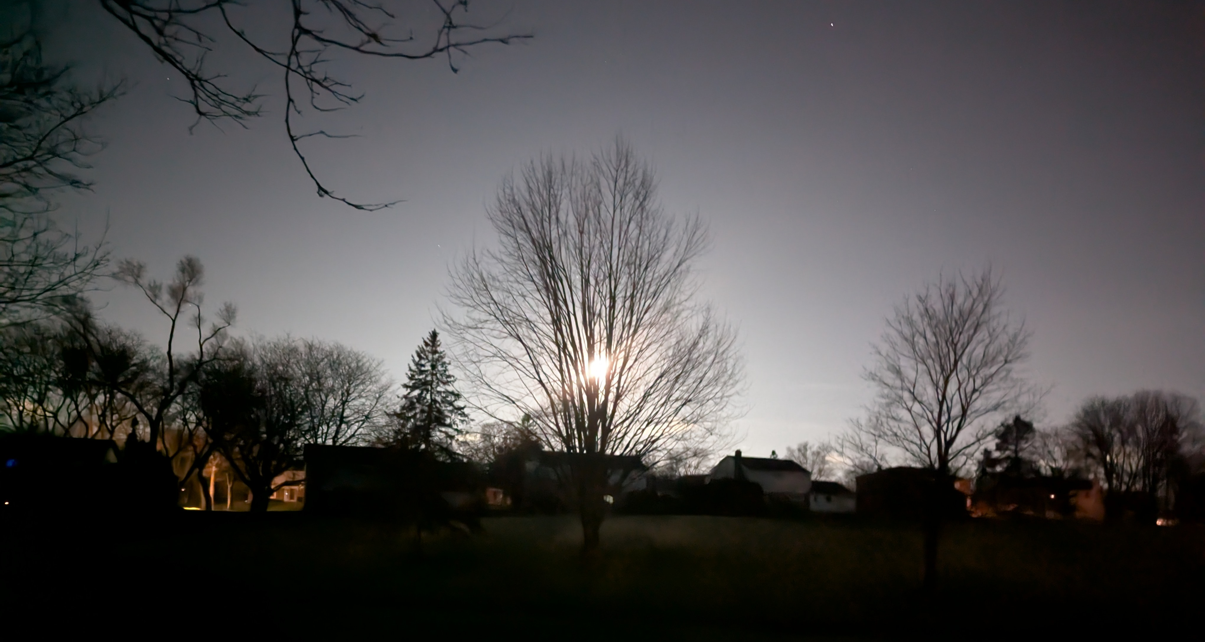 night walk 2.png