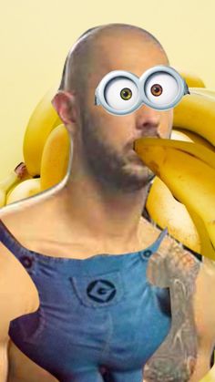noitfh.jpg