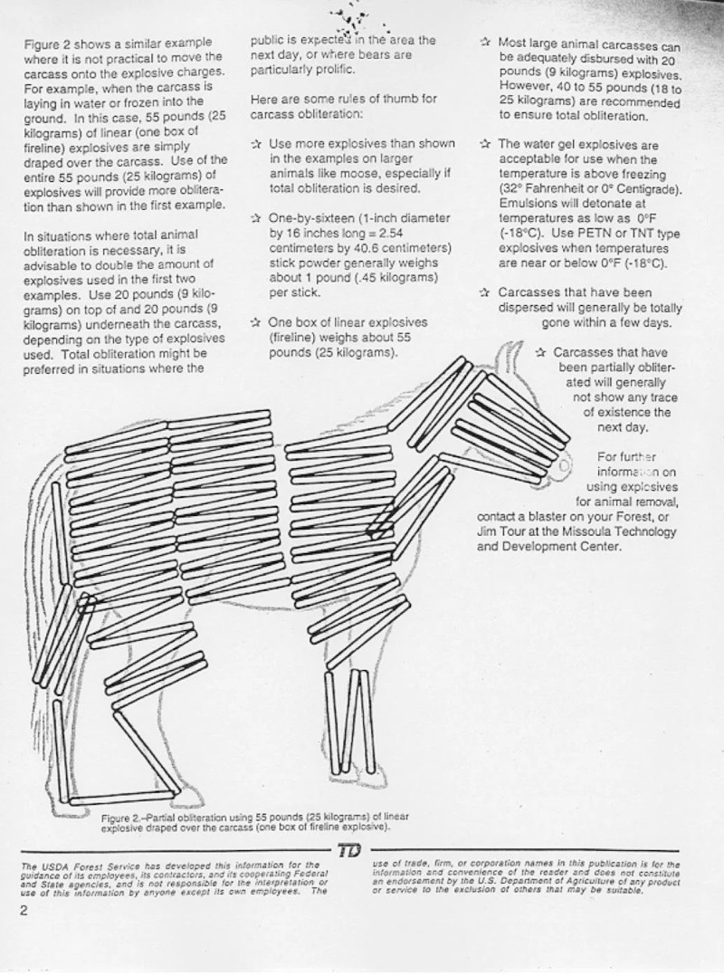 obliterating-animal-carcasses-2.jpg