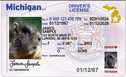 only-marmots.png