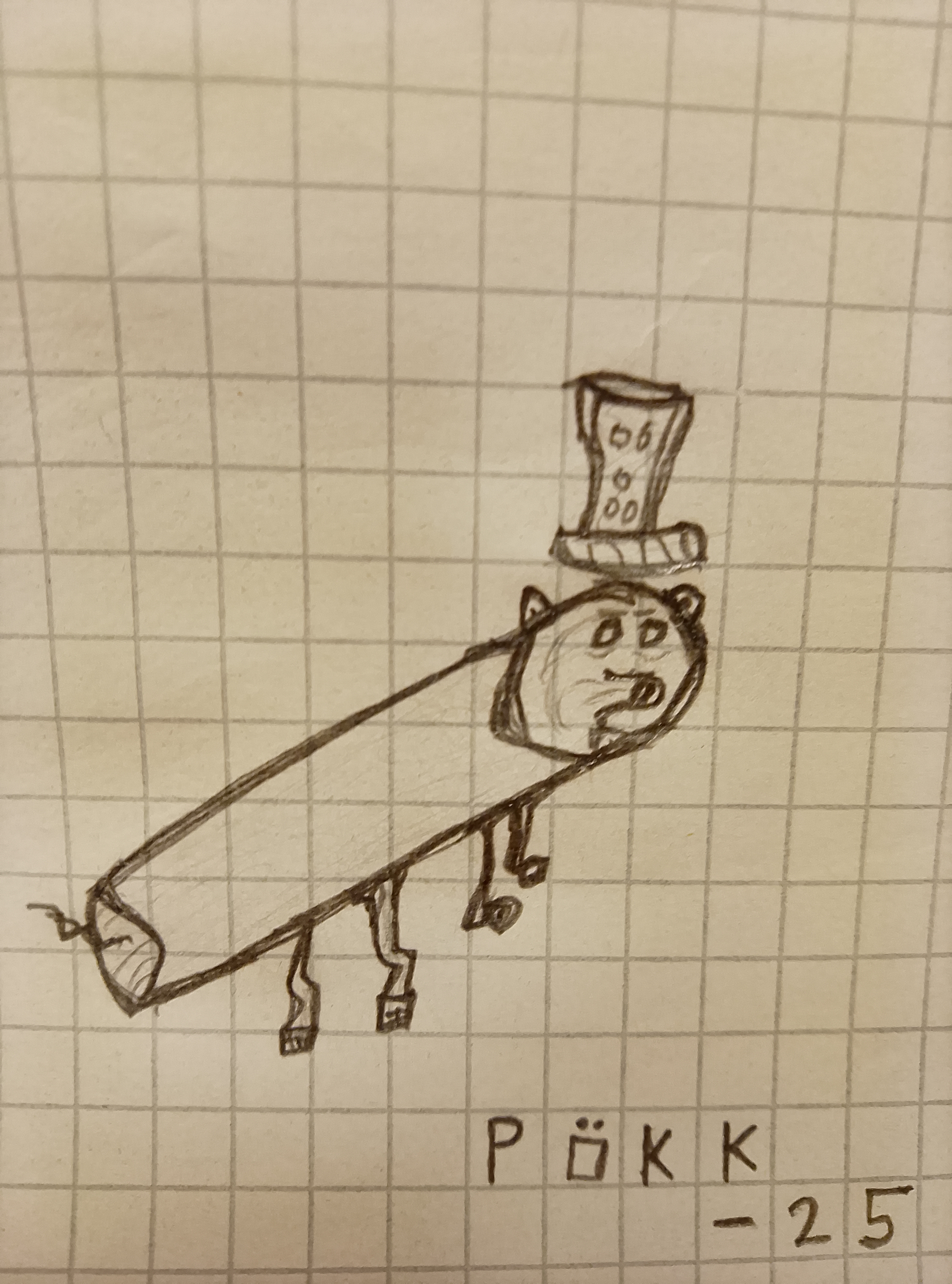 pökk.jpg